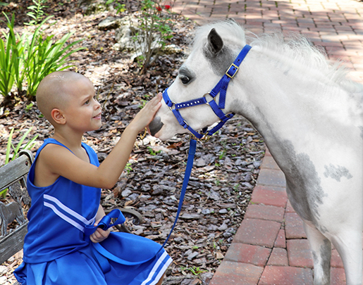 Large version of young girl with shaved head in a blue dresswith white stripes petting a small white and gray pony with blue bridle